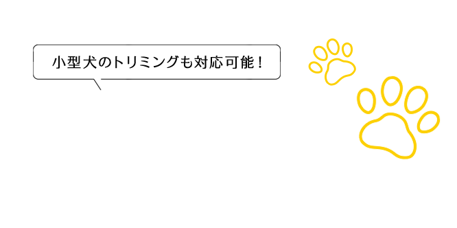 小型犬のトリミングも対応可能！